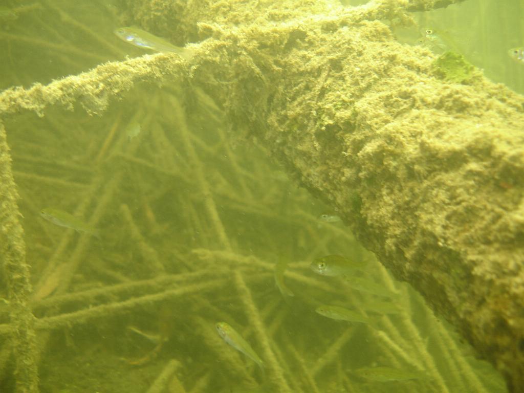 2008-06-29 11-00-20 H.JPG